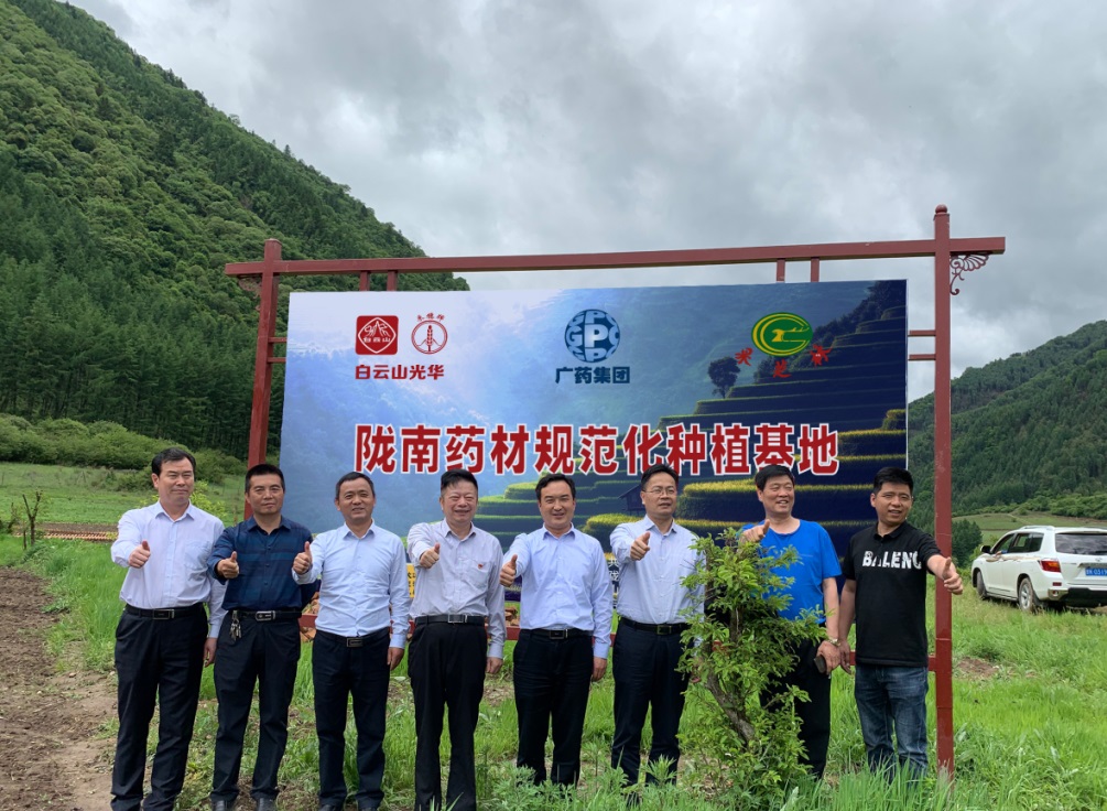 药材好，药才好 ——白云山小柴胡颗粒北柴胡规范化种植基地正式揭牌！