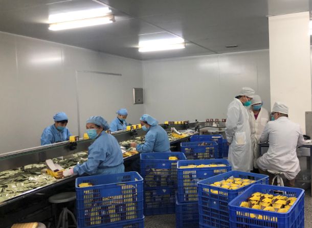 【初心如磐，使命在肩】永利yl23455第三党支部组织员工提前复工保障生产